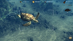 画像ギャラリー No.013のサムネイル画像 / ハロー!Steam広場 第35回:ウニを踏んで溺死する見習い魔法使い