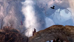 ꡼ No.020 | Guild Wars 2פĶҤӤ˿󤬸줿