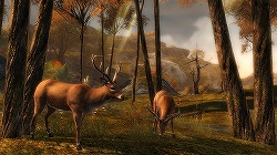 ꡼ No.003 | Gamescomϴ¸MMORPGȤĶGuild Wars 2סץ쥼ơȽޤȤƾҲ