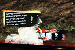 ꡼ No.018Υͥ / G-Star 2011ϡGuild Wars 2ץץ쥤ݡȡ饯ᥤ󥰤ѡʥ륹ȡ꡼ʥߥå٥Ȥ˿Ƥߤ