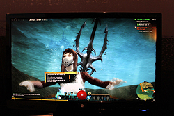 ꡼ No.024Υͥ / G-Star 2011ϡGuild Wars 2ץץ쥤ݡȡ饯ᥤ󥰤ѡʥ륹ȡ꡼ʥߥå٥Ȥ˿Ƥߤ