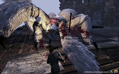 画像ギャラリー No.007のサムネイル画像 / 「マビノギ英雄伝」,躍動感溢れるプレイムービーとスクリーンショットを4GamerにUp