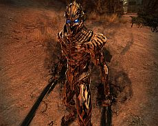 ꡼ No.003Υͥ / ֥ޥӥΥͺס緿åץǡȡDestinyפȡ꡼פοʹԤǡ֥ѥǥס֥ʥȡפѿȤǽ