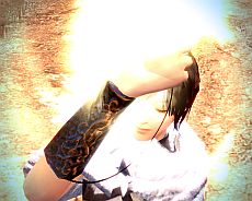 ꡼ No.009Υͥ / ֥ޥӥΥͺס緿åץǡȡDestinyפȡ꡼פοʹԤǡ֥ѥǥס֥ʥȡפѿȤǽ