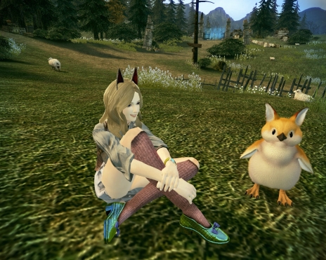 ꡼ No.005 | ֥ޥӥΥͺ絬ϤΥɥ饴ȡҥ祳ҥ祳ưڥåȤܡ»ܤ緿åץǡȤξҲPV2ܤǺ