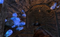 ꡼ No.009 | ӥ2ǯޤ֥ޥӥΥͺסĳȯˤޤǤο֤ȺΥåץǡȤˤĤʹ