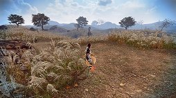 画像ギャラリー No.001のサムネイル画像 / 「マビノギ英雄伝」で新章「Chapter 1」のアップデートが3か月連続で実施。SEASON 1が持つ重厚感とSEASON 2の華麗さが融合したバトルに注目