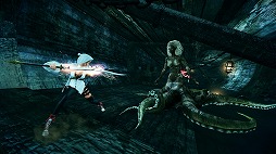 ꡼ No.052 | PR֥ۡޥӥΥͺפοʲߤޤʤץåץǡȤ򿶤֤ĤġȺɤȡȤä̤ɤ򸫤Ƥߤ