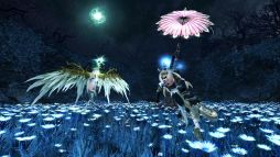 ꡼ No.002 | ֥ޥӥΥͺס2֥֥塼ơפ1122˼