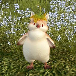 ꡼ No.001 | ֥ޥӥΥͺס쥤ɥܥ֥륫ʡפ425˼