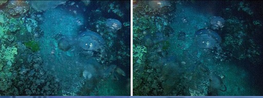 ���������꡼ No.013�Υ���ͥ������ / �����Ω�λ�ǥ����ץ쥤³�����������̤��Ȥ���äȴط����뤫�⤷��ʤ���3D���С������ꥢ��ƥ�Ÿ�ץ�ݡ���