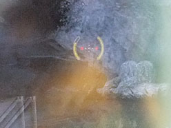 ꡼ No.037 | и3ߤΩλĶפϤʤ䡩 LGǥץ쥤D2342P-PNץӥ塼