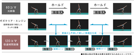 ꡼ No.003Υͥ / ɩŵ롼⡼ɤ®ֵǽܤ23磻IPSվǥץ쥤ȯ