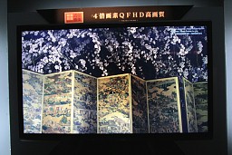 画像ギャラリー No.003のサムネイル画像 / 映像は4K時代に突入。立体視はどうなった? CEATEC会場で見た最新映像機器レポート