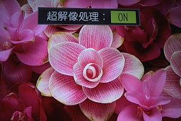 画像ギャラリー No.006のサムネイル画像 / 映像は4K時代に突入。立体視はどうなった? CEATEC会場で見た最新映像機器レポート