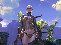 画像ギャラリー No.002のサムネイル画像 / 4Gamerで1万5000人の「TERA」CBTプレイヤーを募集中! 一週間の動きが分かる「今週のオンラインゲーム」を更新