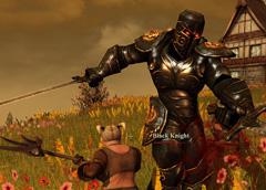 ꡼ No.003Υͥ / Ǻ餱MMORPGScarlet BladeפCBT罸924ޤǡ콵֤ưʬֺΥ饤󥲡פ򹹿