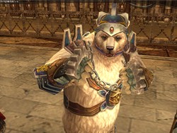 ꡼ No.002Υͥ / ֥ȥƥס1215ˤΥåץǡȤǿʼ֥ɥ륤ɡפ絬ϥѡƥƥʼġפʤɤ