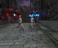 ꡼ No.006Υͥ / ֥ȥƥLv160ϳ俷󥸥֥ե륯ȡפɲäʤɤ»ܡ5ʼǥ󥳥ƥȤ