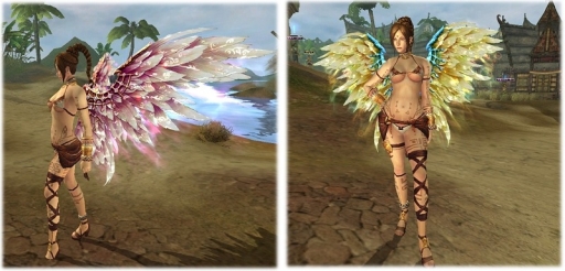 ꡼ No.006Υͥ / ֥ȥƥפ˿PVE󥸥֥ݥפ