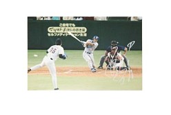 ꡼ No.009 | ĤONLINE 2ץåץǡȾץ쥼ȴ