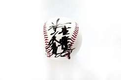 ꡼ No.012 | ĤONLINE 2ץåץǡȾץ쥼ȴ