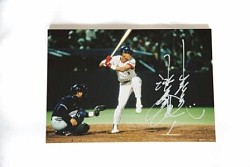 ꡼ No.014 | ĤONLINE 2ץåץǡȾץ쥼ȴ