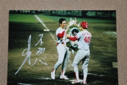 ꡼ No.007 | ĤONLINE 2ס ؤΥꥰåƤ褦