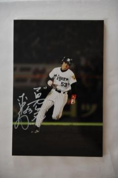 ꡼ No.003 | ĤONLINE 2ᡤΥ쥸ꥫɤ褦