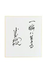 ꡼ No.006 | ĤONLINE 2סSpringåץǡȤ»ܡ֥ߥۡפо