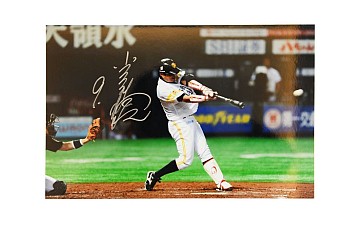 ꡼ No.007 | ĤONLINE 2סSpringåץǡȤ»ܡ֥ߥۡפо