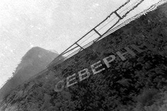 ꡼ No.005Υͥ / ƤĤɹ˲̤ƲΤ첤ޤΥۥ顼FPS֥ꥪ ܸǡפ1030˥꡼