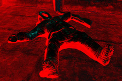 ꡼ No.007Υͥ / ƤĤɹ˲̤ƲΤ첤ޤΥۥ顼FPS֥ꥪ ܸǡפ1030˥꡼