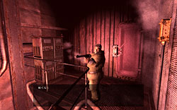 ꡼ No.004 | ˴ϤˤդդäƤޤäˤԤ붲ݤȼ֥ꥪ ܸǡפΥӥ塼Ǻ