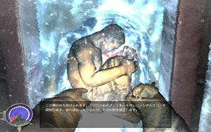 ꡼ No.008 | ˴ϤˤդդäƤޤäˤԤ붲ݤȼ֥ꥪ ܸǡפΥӥ塼Ǻ