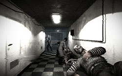 ꡼ No.010 | ˴ϤˤդդäƤޤäˤԤ붲ݤȼ֥ꥪ ܸǡפΥӥ塼Ǻ