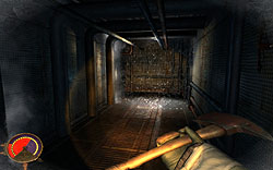 ꡼ No.028 | ˴ϤˤդդäƤޤäˤԤ붲ݤȼ֥ꥪ ܸǡפΥӥ塼Ǻ