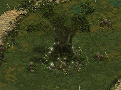 ꡼ No.009 | ֥åԡ2ס101˿ȤʤɤɲáԸ