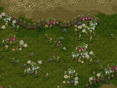 ꡼ No.010 | ֥åԡ2ס101˿ȤʤɤɲáԸ