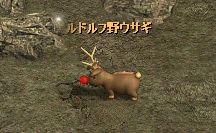 ���������꡼ No.005�Υ���ͥ������ / �֥��åԡ�����饤��2�פǡȤ���ä��㥵���ӥ��ɳ���