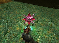 画像集#032のサムネイル/EQIIの拡張パック第4弾,「EverQuest II Rise of Kunark」のプレイレポートを掲載