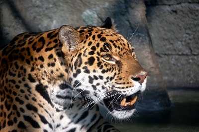 画像ギャラリー No.003のサムネイル画像 / 「エルソード」のアイシャ,レナ,エルスに着せたいアバター装備を選んで実装してもらおう!