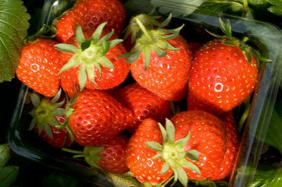 画像ギャラリー No.004のサムネイル画像 / 「エルソード」のアイシャ,レナ,エルスに着せたいアバター装備を選んで実装してもらおう!