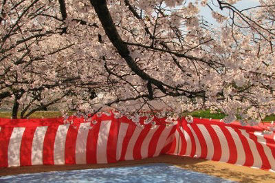 画像ギャラリー No.005のサムネイル画像 / 「エルソード」のアイシャ,レナ,エルスに着せたいアバター装備を選んで実装してもらおう!