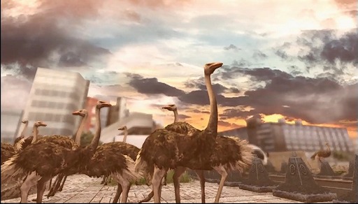 ꡼ No.003 | ˿ǥΤΥҥҥ硼 184TOKYO JUNGLE 