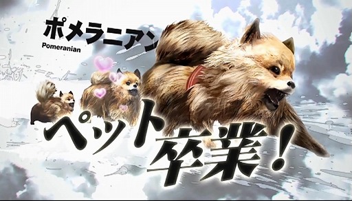 ꡼ No.004 | ˿ǥΤΥҥҥ硼 184TOKYO JUNGLE 