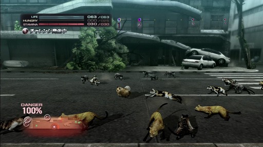 ꡼ No.005 | ˿ǥΤΥҥҥ硼 184TOKYO JUNGLE 