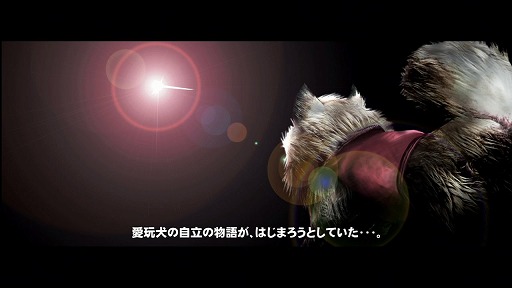 ꡼ No.006 | ˿ǥΤΥҥҥ硼 184TOKYO JUNGLE 