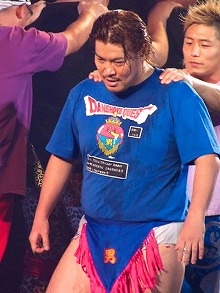 ꡼ No.002Υͥ / ˿ǥΤΥҥҥ硼 194֥ɥ饯X˳ؤ֥եƥ󥰥ݡ 