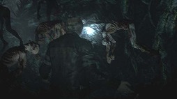 ꡼ No.005 | ˿ǥΤΥҥҥ硼 199٤򲼤ڤʤ 